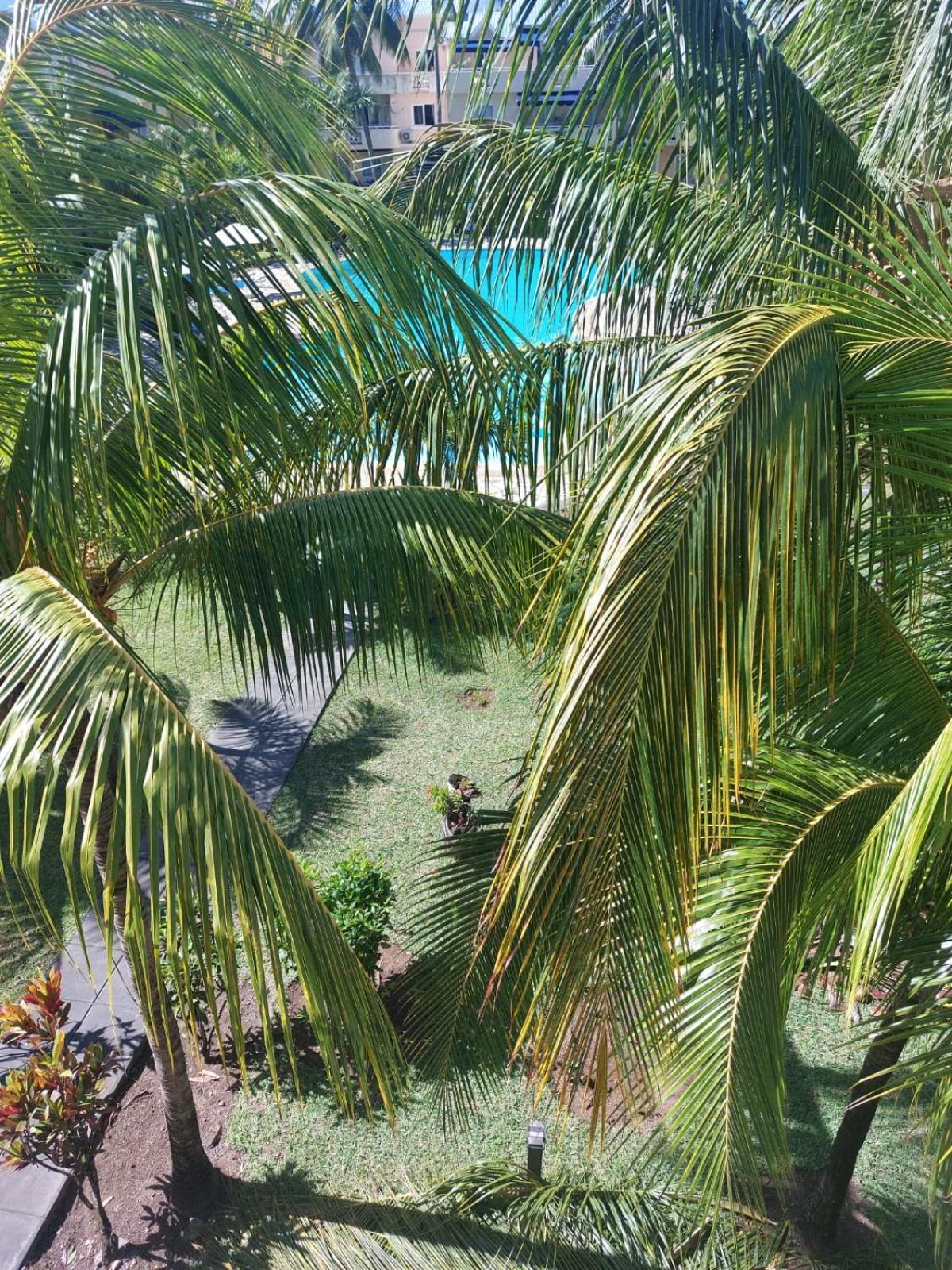 Le Dattier - Three Bedroom Apartment - Coquillage Flic en Flac Exterior photo